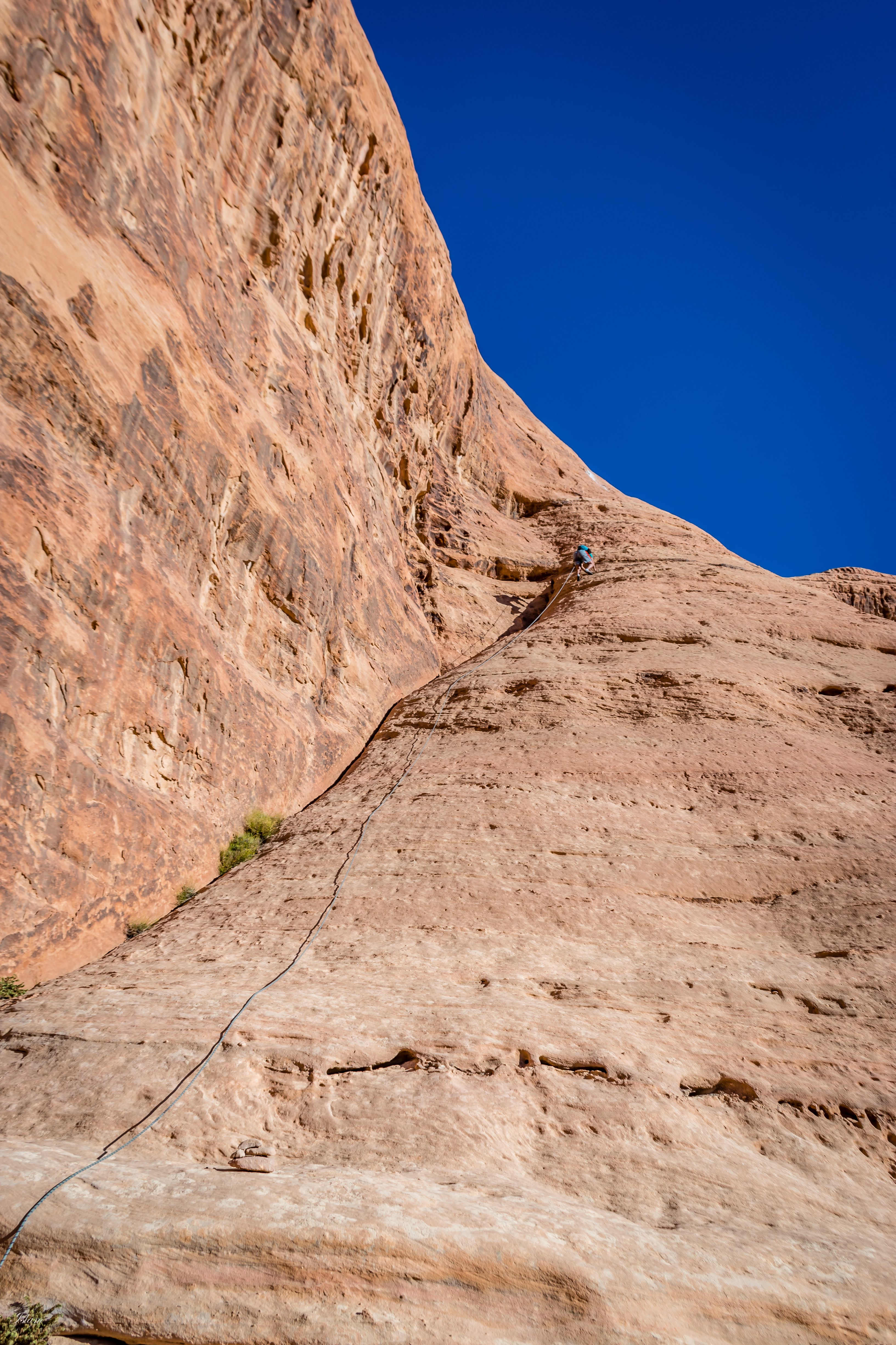 Leading the first pitch